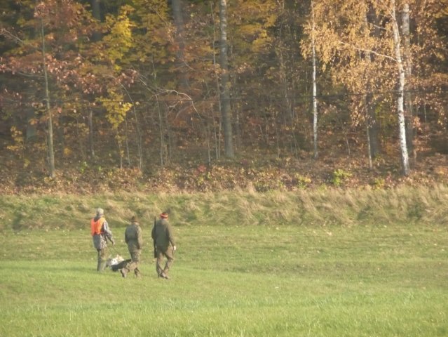 Polowania 26.10.08